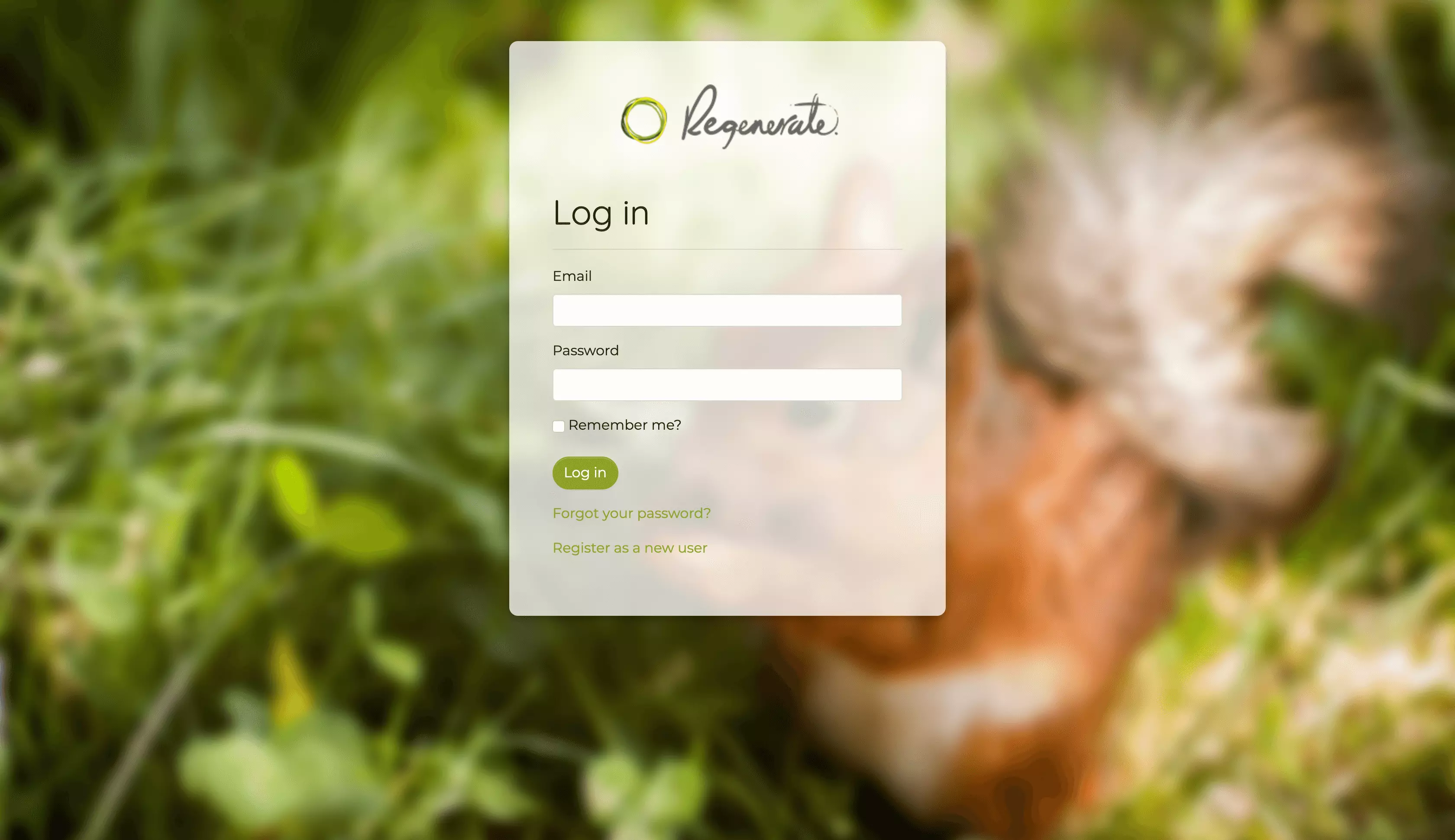 the application showing the login page